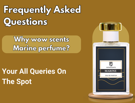 marine perfume, wow scent davidoff cool water perfume, long lasting perfume, fragrance, impression perfume, men perfumes