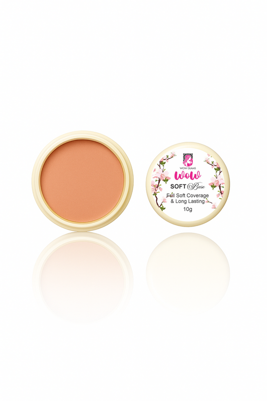 2W shade handi base, matte foundation, cushion foundation, matte poreless foundation, tv stick base, moose base foundation, makeup base foundation
